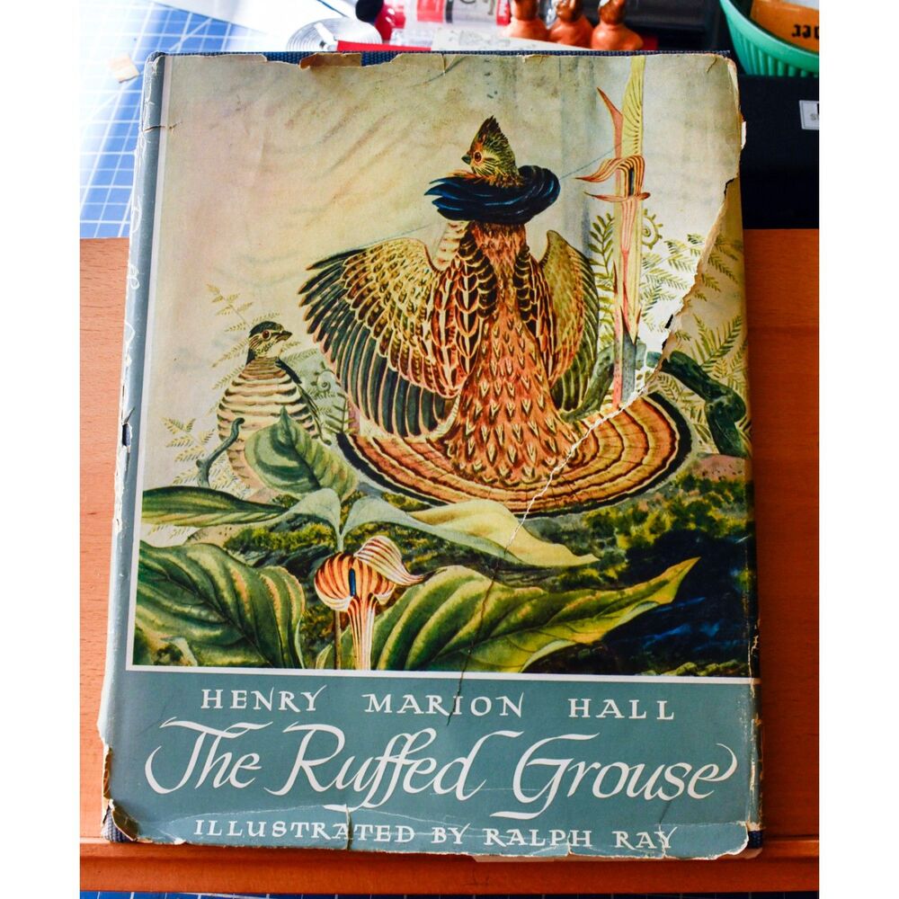The Ruffed Grouse Henry Marion Hall First Edition 1946 Illustrations Ralph Ray